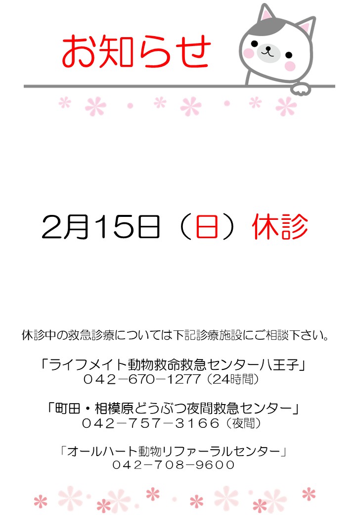 2月休診のお知らせ